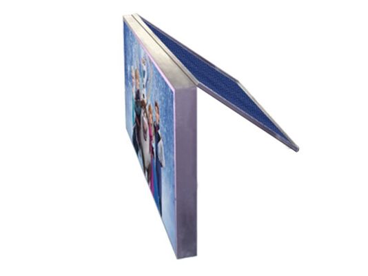 Panneau solaire LED MUENLED-S-8B PH8